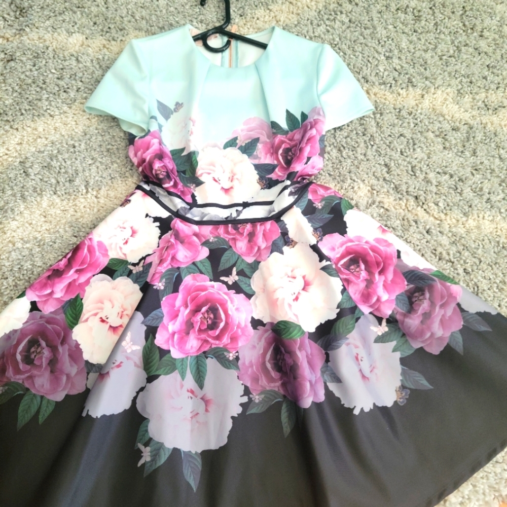 COPY - Ted Baker Dress Size 2 almost new
